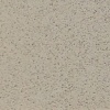 Beige Light 0022